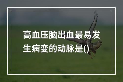 高血压脑出血最易发生病变的动脉是()