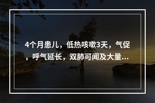 4个月患儿，低热咳嗽3天，气促，呼气延长，双肺可闻及大量哮鸣