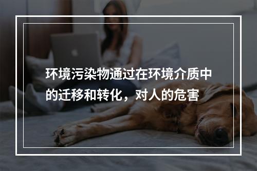 环境污染物通过在环境介质中的迁移和转化，对人的危害