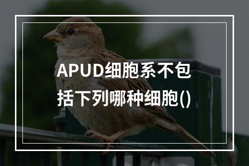 APUD细胞系不包括下列哪种细胞()