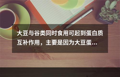 大豆与谷类同时食用可起到蛋白质互补作用，主要是因为大豆蛋白中