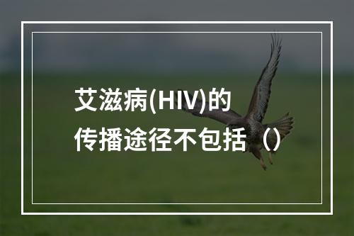 艾滋病(HIV)的传播途径不包括（）