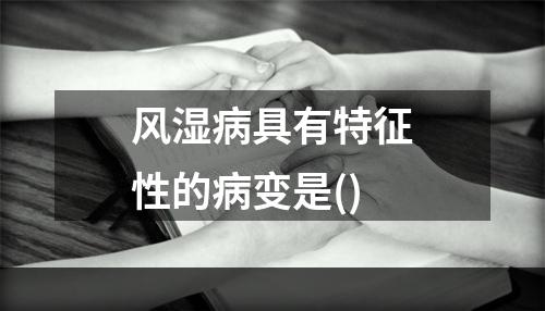 风湿病具有特征性的病变是()