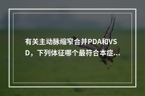 有关主动脉缩窄合并PDA和VSD，下列体征哪个最符合本症？（