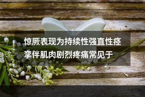 惊厥表现为持续性强直性痉挛伴肌肉剧烈疼痛常见于