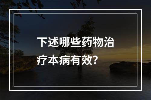 下述哪些药物治疗本病有效？