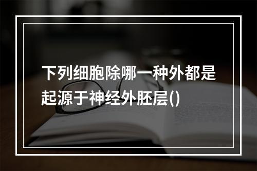 下列细胞除哪一种外都是起源于神经外胚层()