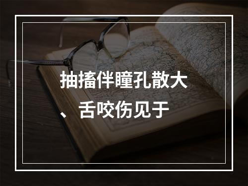 抽搐伴瞳孔散大、舌咬伤见于