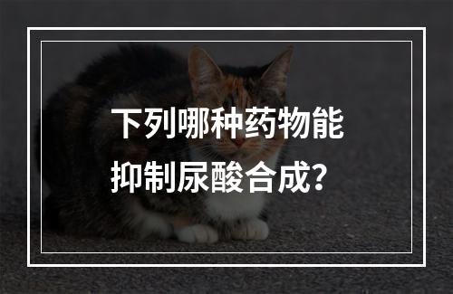 下列哪种药物能抑制尿酸合成？