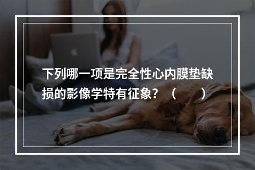 下列哪一项是完全性心内膜垫缺损的影像学特有征象？（　　）