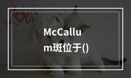 McCallum斑位于()