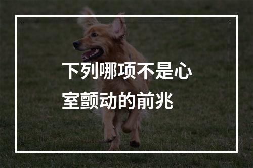 下列哪项不是心室颤动的前兆