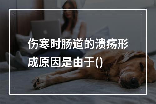 伤寒时肠道的溃疡形成原因是由于()