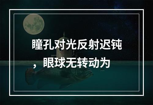 瞳孔对光反射迟钝，眼球无转动为