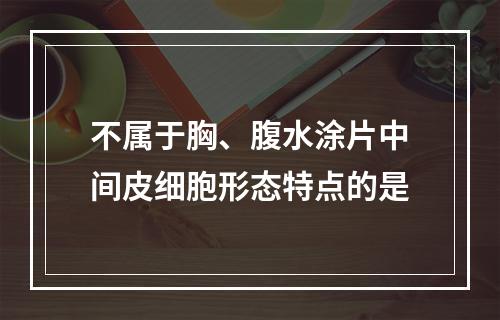 不属于胸、腹水涂片中间皮细胞形态特点的是