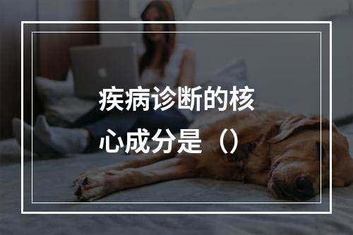 疾病诊断的核心成分是（）