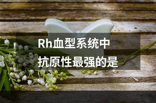 Rh血型系统中抗原性最强的是