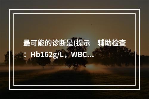 最可能的诊断是(提示　辅助检查：Hb162g/L，WBC24