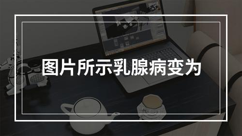 图片所示乳腺病变为