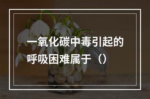 一氧化碳中毒引起的呼吸困难属于（）