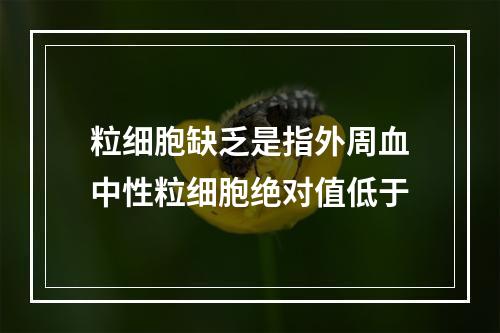 粒细胞缺乏是指外周血中性粒细胞绝对值低于