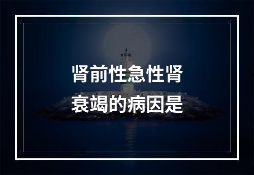 肾前性急性肾衰竭的病因是