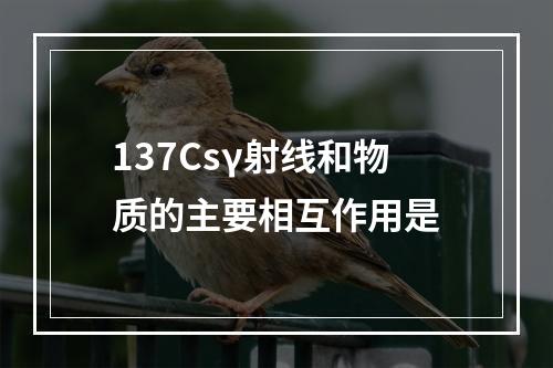 137Csγ射线和物质的主要相互作用是