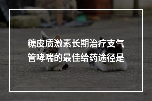 糖皮质激素长期治疗支气管哮喘的最佳给药途径是