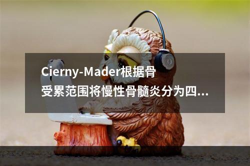 Cierny-Mader根据骨受累范围将慢性骨髓炎分为四型，