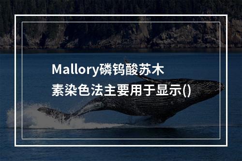 Mallory磷钨酸苏木素染色法主要用于显示()