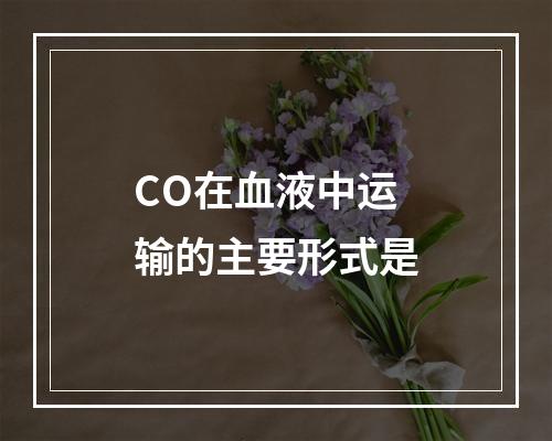 CO在血液中运输的主要形式是