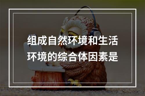 组成自然环境和生活环境的综合体因素是