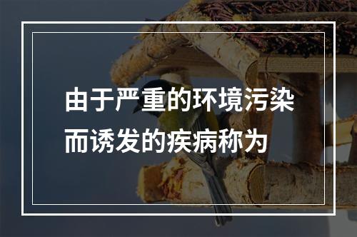 由于严重的环境污染而诱发的疾病称为