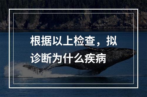 根据以上检查，拟诊断为什么疾病