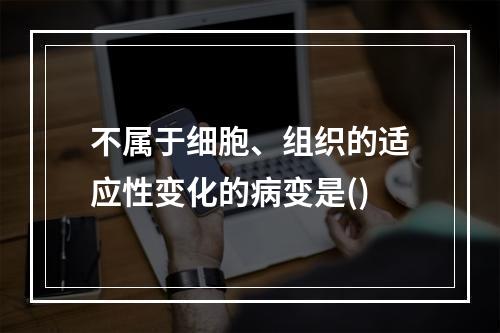 不属于细胞、组织的适应性变化的病变是()