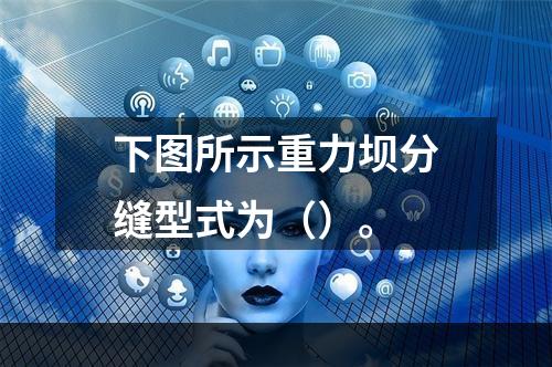 下图所示重力坝分缝型式为（）。