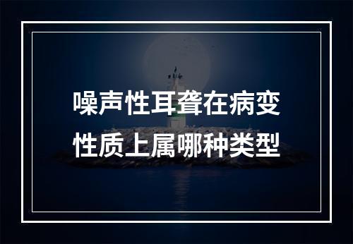 噪声性耳聋在病变性质上属哪种类型