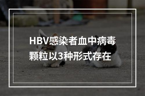 HBV感染者血中病毒颗粒以3种形式存在