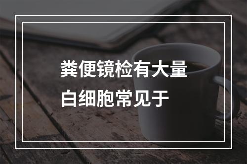 粪便镜检有大量白细胞常见于