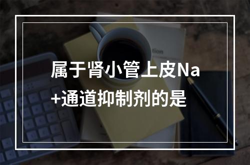 属于肾小管上皮Na+通道抑制剂的是