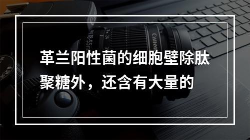 革兰阳性菌的细胞壁除肽聚糖外，还含有大量的