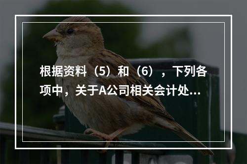 根据资料（5）和（6），下列各项中，关于A公司相关会计处理结