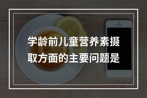 学龄前儿童营养素摄取方面的主要问题是