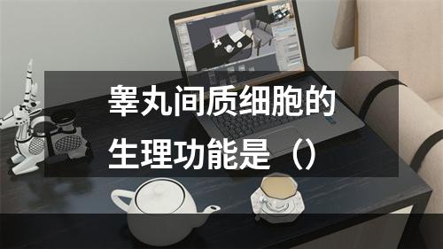 睾丸间质细胞的生理功能是（）