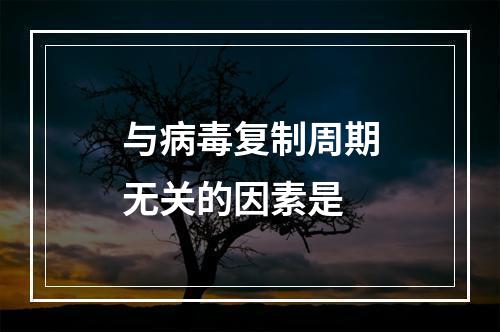 与病毒复制周期无关的因素是