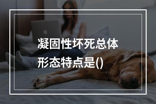 凝固性坏死总体形态特点是()