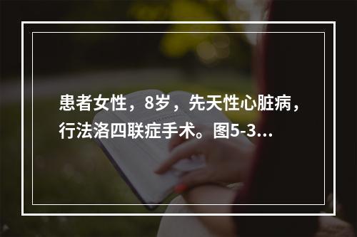 患者女性，8岁，先天性心脏病，行法洛四联症手术。图5-3为术