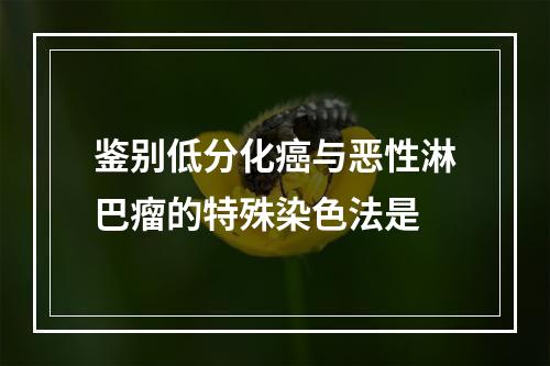 鉴别低分化癌与恶性淋巴瘤的特殊染色法是