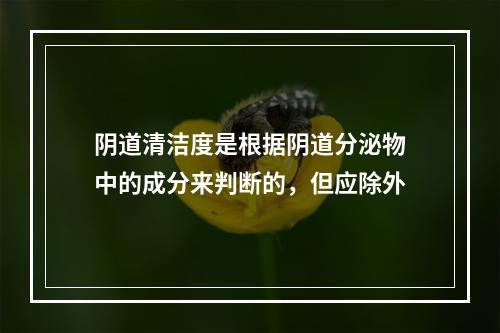 阴道清洁度是根据阴道分泌物中的成分来判断的，但应除外