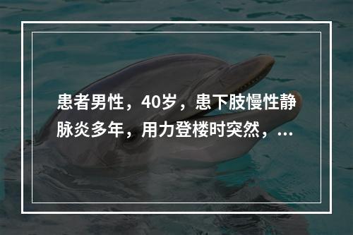 患者男性，40岁，患下肢慢性静脉炎多年，用力登楼时突然，严重